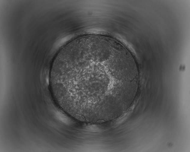 X0000100490062200806201702