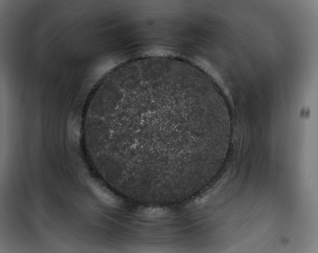 X0000100490063200806201702