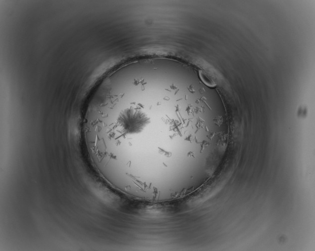 X0000100490064200806201702