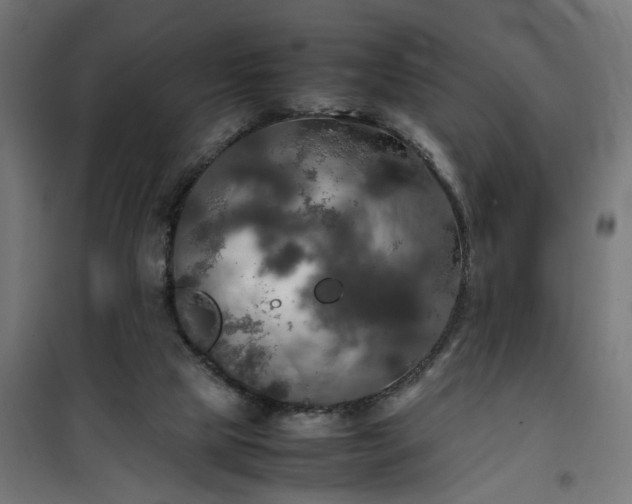 X0000100490065200806201702