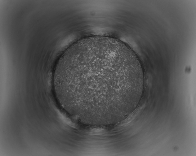 X0000100490066200806201702