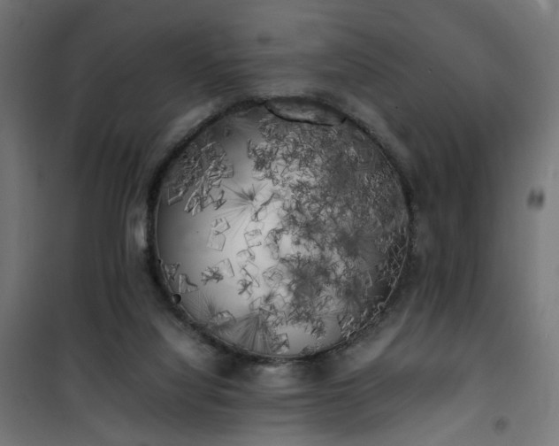 X0000100490068200806201702