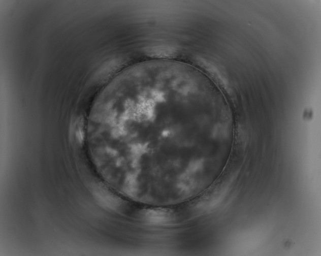 X0000100490069200806201702