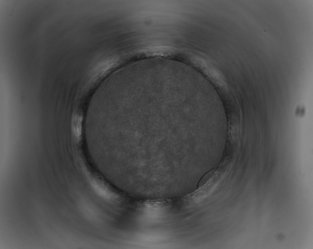 X0000100490070200806201702