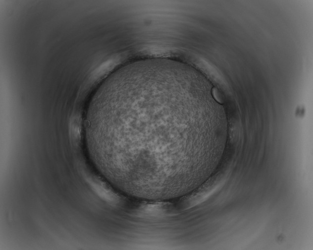 X0000100490072200806201702