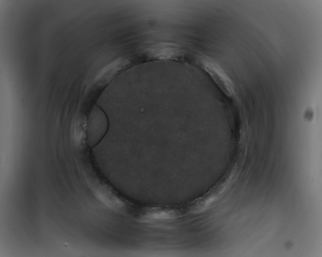 X0000100490073200806201702