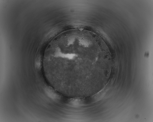 X0000100490074200806201702