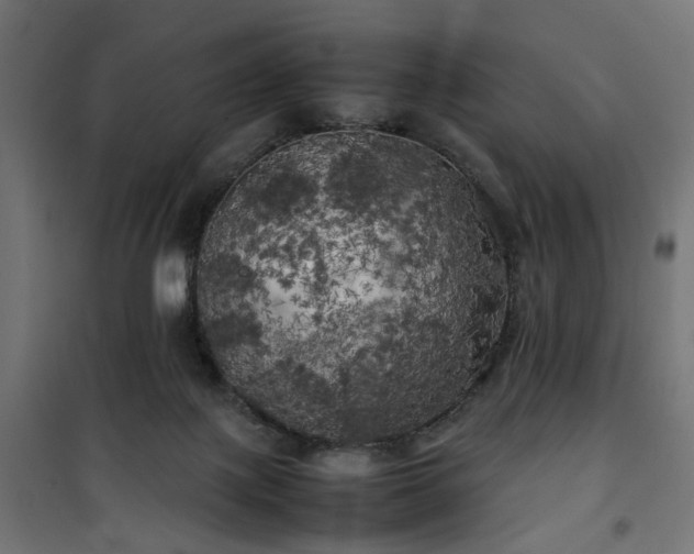 X0000100490075200806201702