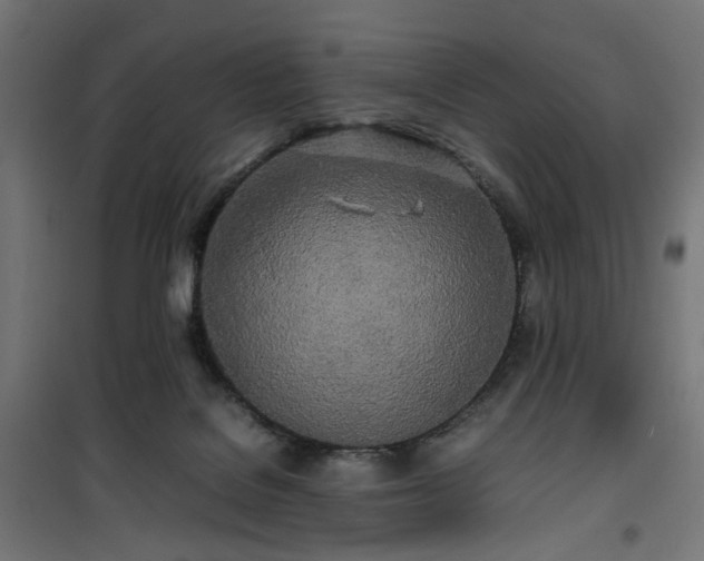 X0000100490076200806201702