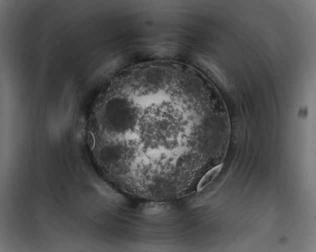 X0000100490077200806201702