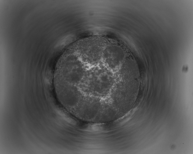X0000100490078200806201702