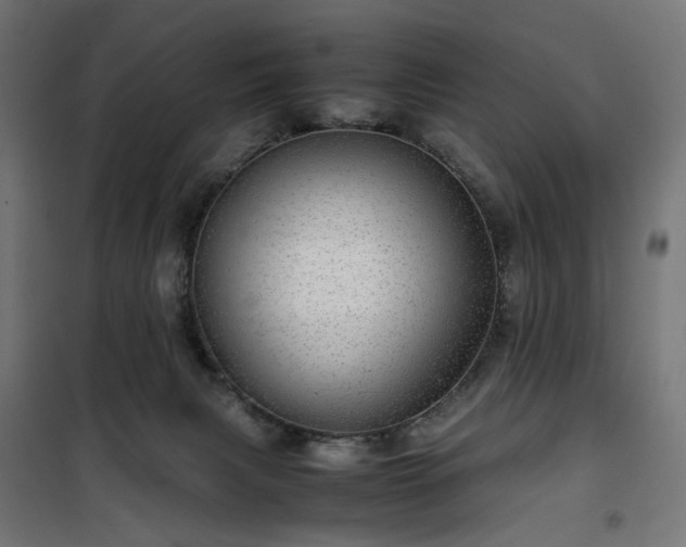 X0000100490079200806201702