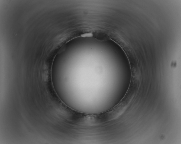 X0000100490080200806201702