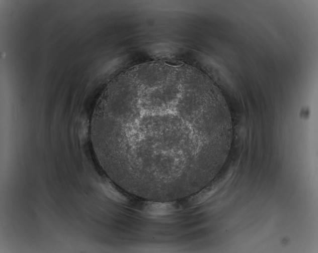 X0000100490081200806201702