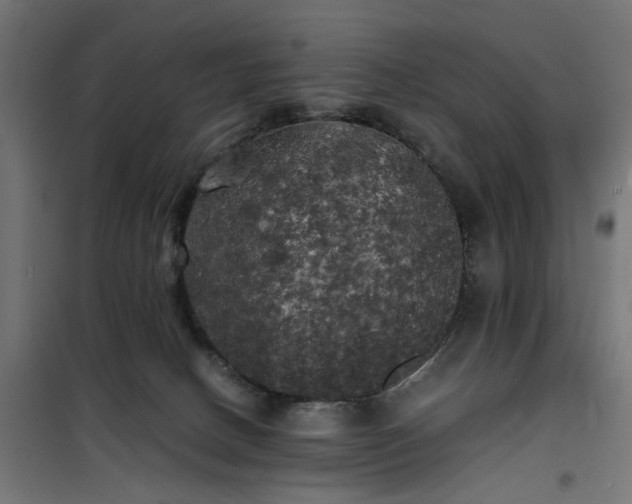 X0000100490082200806201702