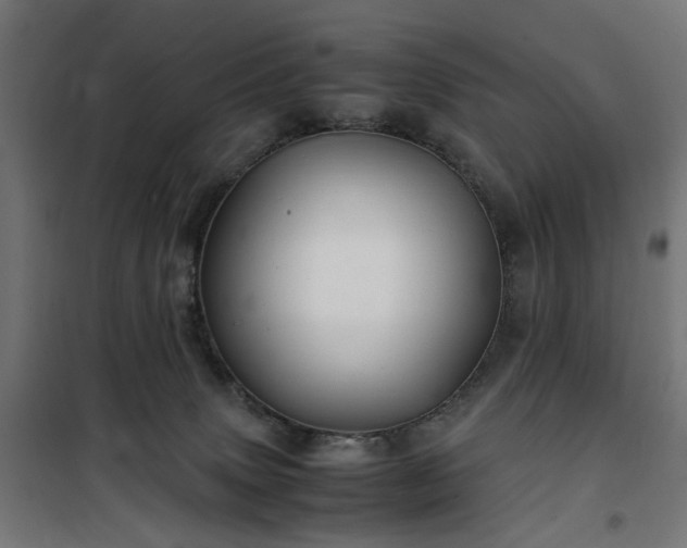 X0000100490083200806201702