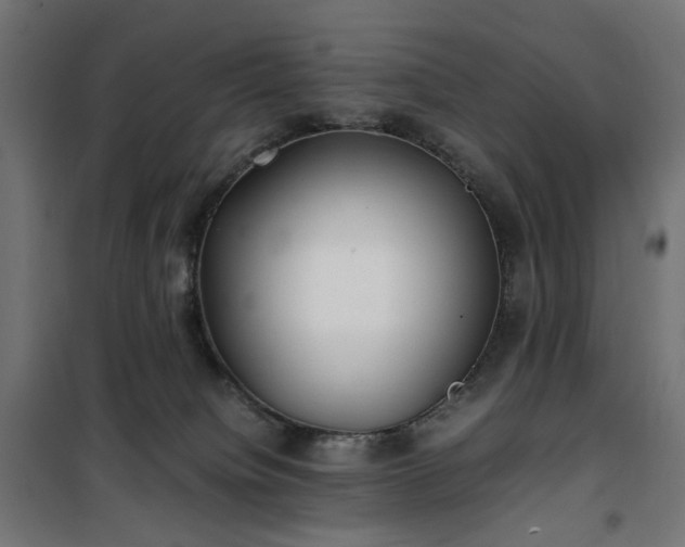 X0000100490084200806201702