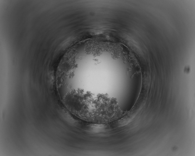 X0000100490085200806201702