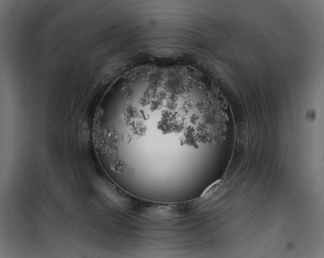 X0000100490086200806201702