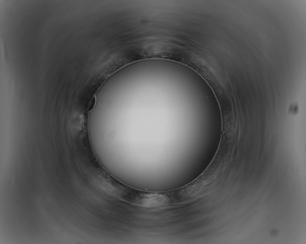 X0000100490087200806201702