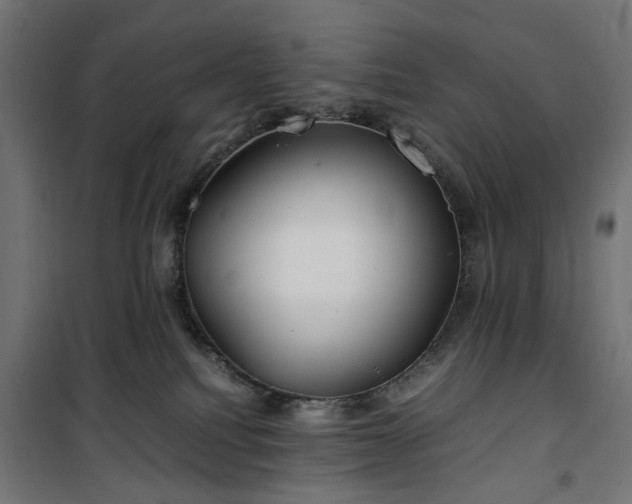 X0000100490088200806201702