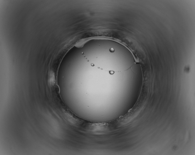 X0000100490089200806201702