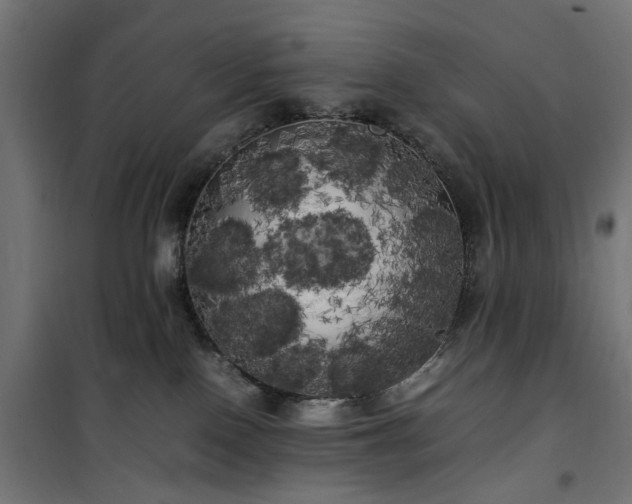 X0000100490090200806201702