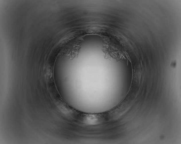 X0000100490091200806201702