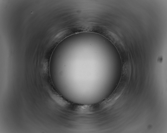 X0000100490092200806201702