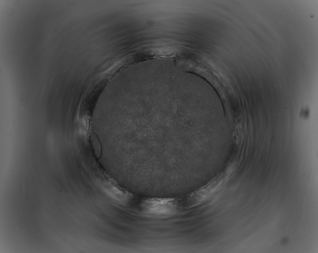 X0000100490093200806201702