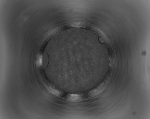 X0000100490095200806201702