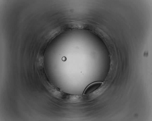 X0000100490096200806201702