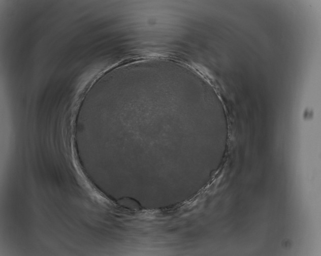 X0000100490097200806201702