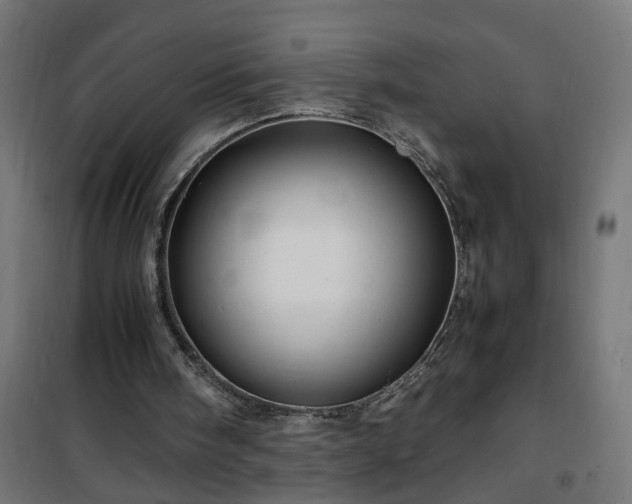 X0000100490098200806201702