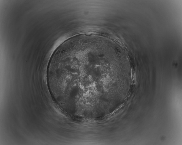 X0000100490099200806201702