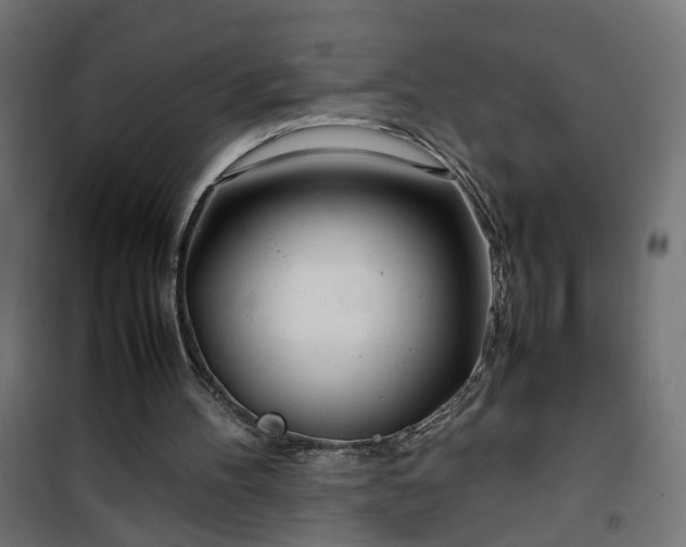 X0000100490100200806201702