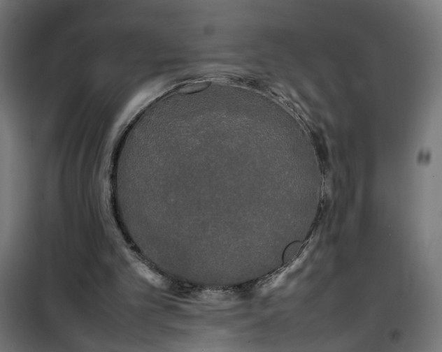 X0000100490101200806201702