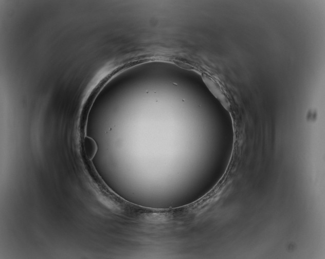 X0000100490102200806201702