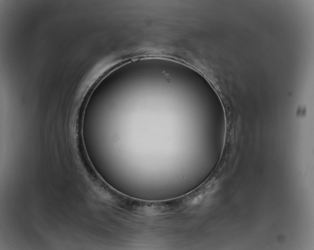 X0000100490103200806201701