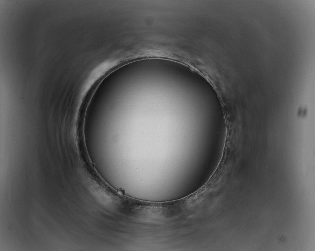 X0000100490104200806201701