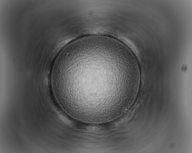 X0000100490105200806201701