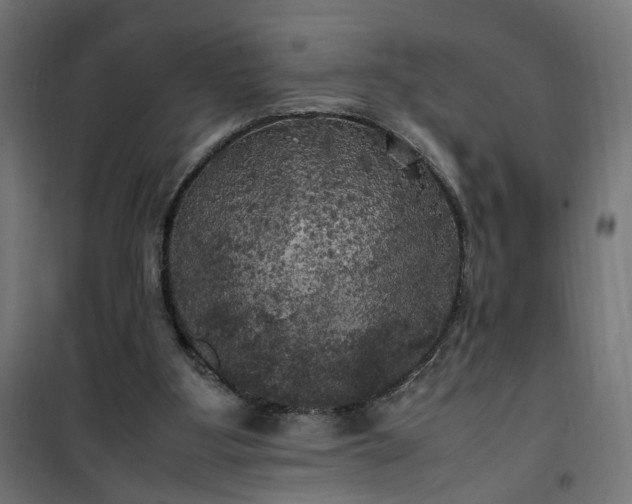 X0000100490107200806201701