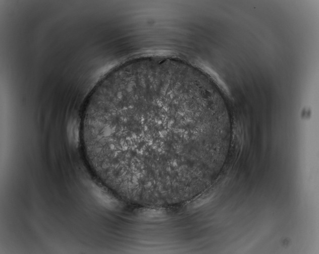 X0000100490110200806201701