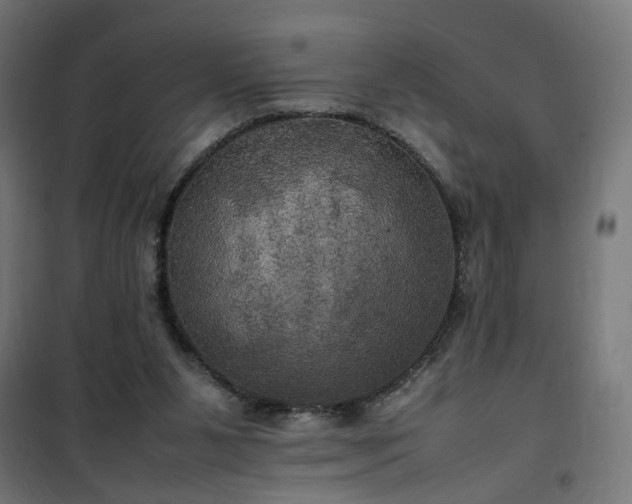 X0000100490111200806201701