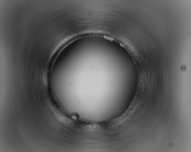 X0000100490112200806201701