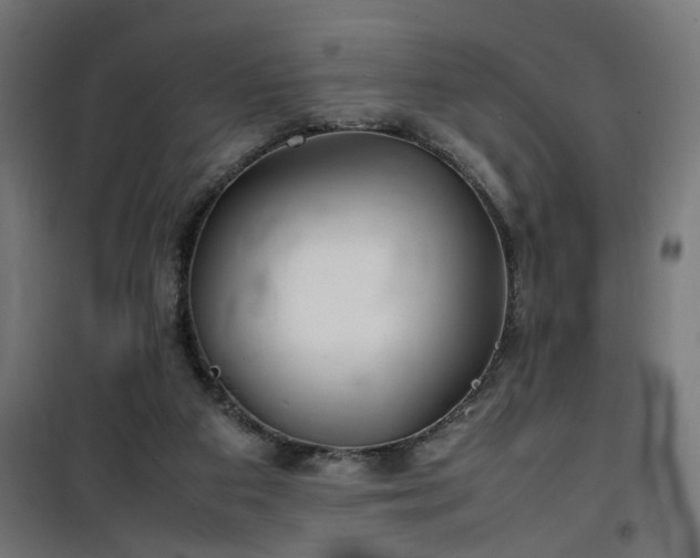 X0000100490113200806201701