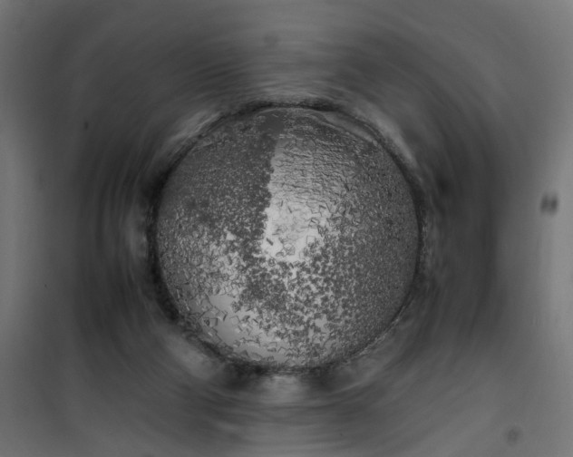 X0000100490114200806201701