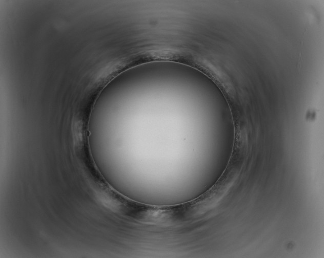 X0000100490117200806201701