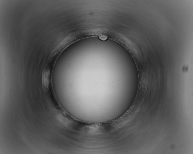 X0000100490118200806201701