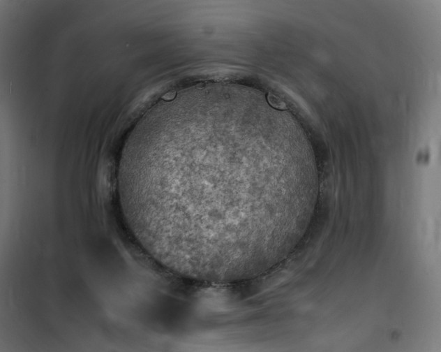 X0000100490119200806201701